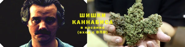 дживик Вяземский