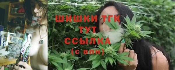 дживик Вяземский