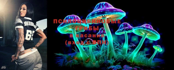 дживик Вяземский